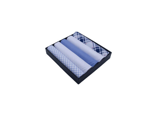 Lommetørkle lys blå ass. 5-pack 