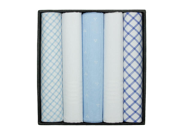 Lommetørkle lys blå ass. 5-pack 