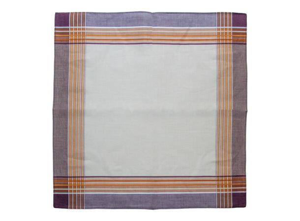 Lommetørkle blå ass. 6-pack* 