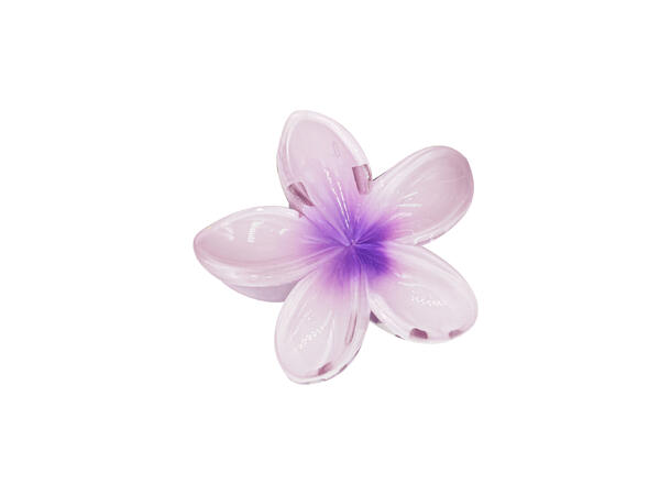 Hårklype blomst 2-farget lilla 