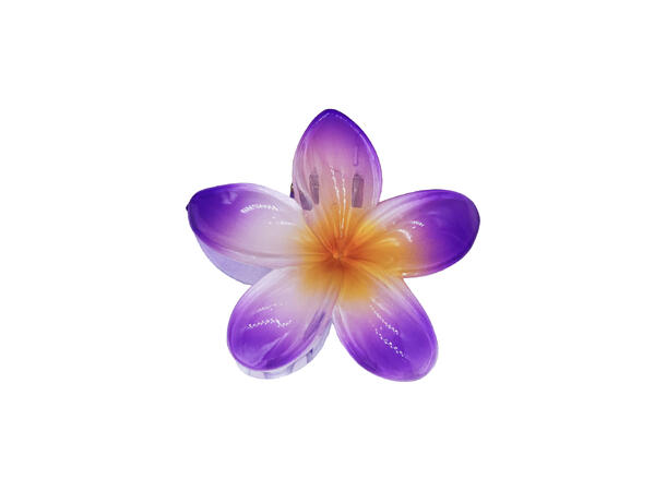 Hårklype blomst "Hawaii" lilla 