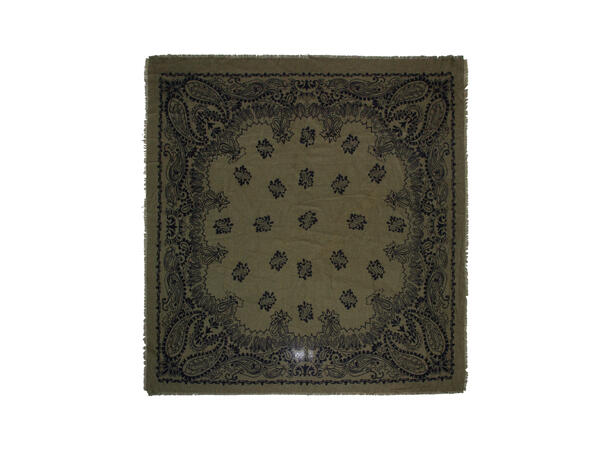 Dame skjerf paisley 110x110 grønn* Høst26 