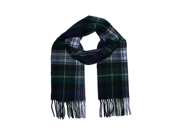Herre skjerf klassisk ruter 30x180 grønn Høst 