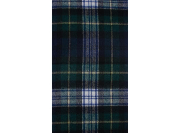 Herre skjerf klassisk ruter 30x180 grønn Høst 