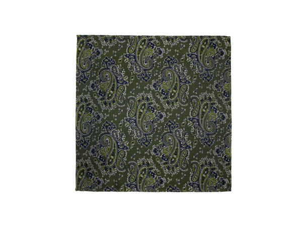Santi silkeslips+lommetørkle mønstret* sett hengende grønn 
