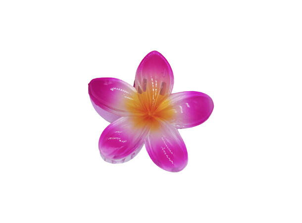 Hårklype blomst "Hawaii" fuksia 