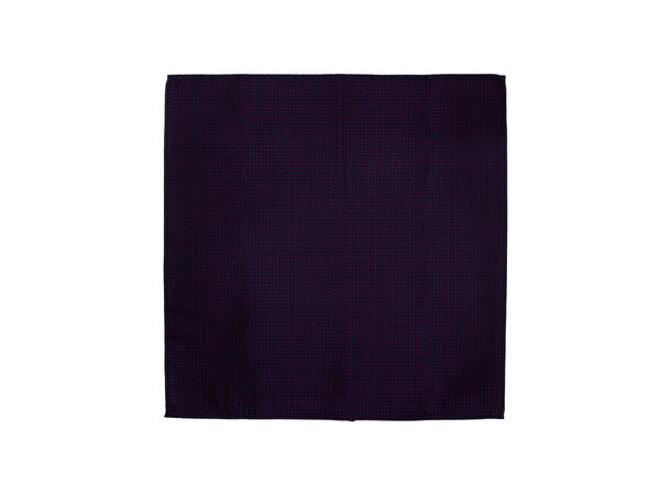 Santi silkeslips+lommetørkle mønstert sett hengende rød/navy 