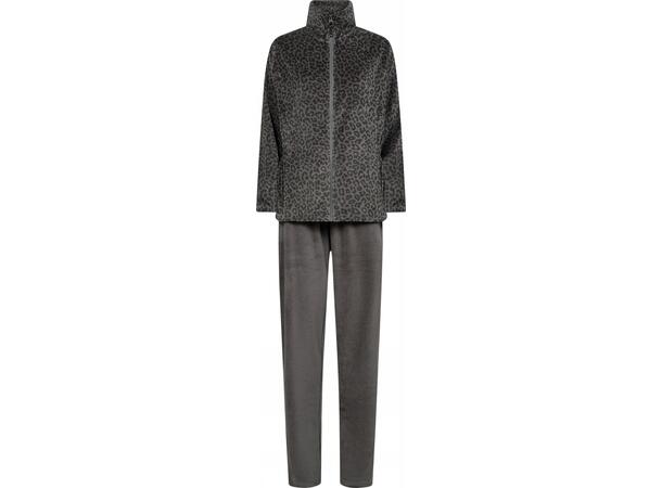 DECOY velour homewear set Grey S - AW25 