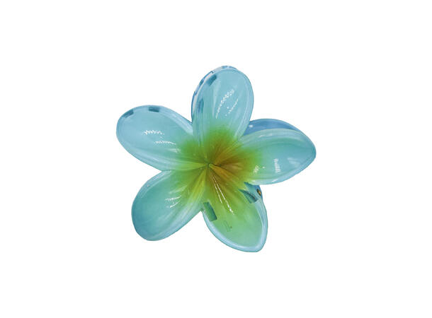 Hårklype blomst "Hawaii" Blå 