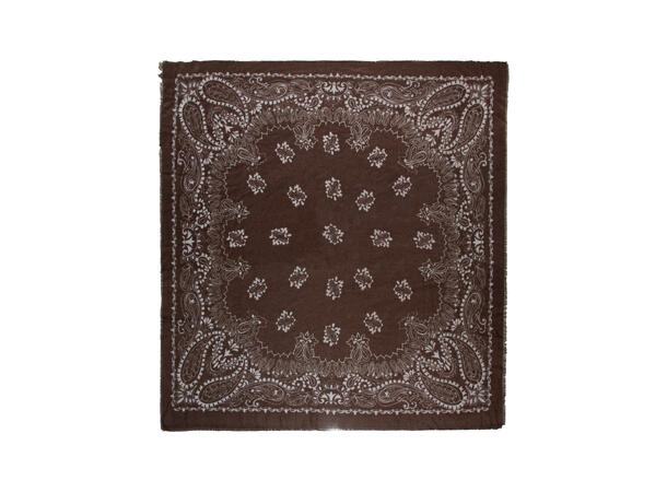 Dame skjerf paisley 110x110 brun* Høst26 