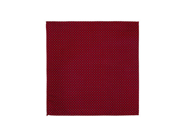 Santi silkeslips+lommetørkle mønstret sett hengende X-mas rød 