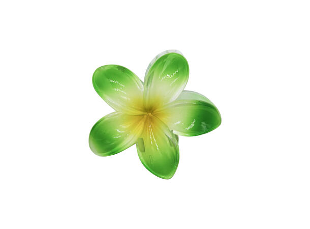 Hårklype blomst "Hawaii" grønn 