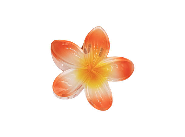 Hårklype blomst "Hawaii" oransje 