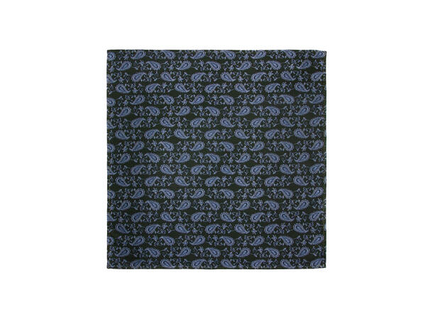 Santi 8cm silkeslips+lommetørkle sett hengende grønn 